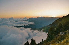 看评论区更刺激，蘑菇视频ios这事后劲大得离谱，最后那个点最让人在意